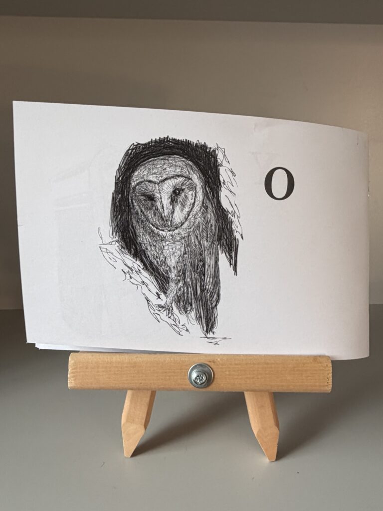 Inside the book by My Name Is Scot, illustration of a burrowing Owl with the letter "O."