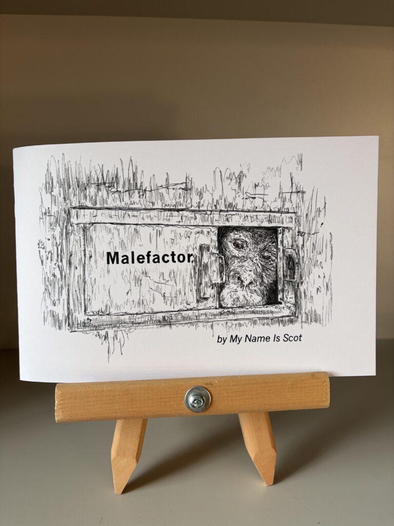Cover of the book, Malefactor, by My Name Is Scot